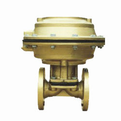 �o���ֲ�������(f��)�͚��(d��ng)�r����Ĥ�y